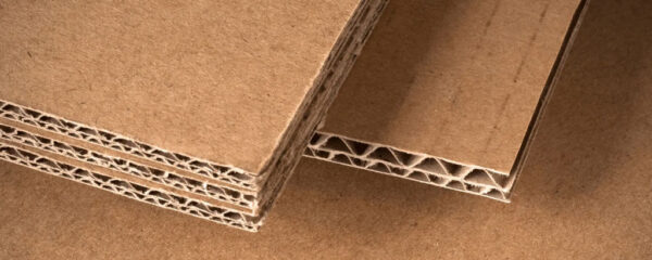 Carton double cannelure